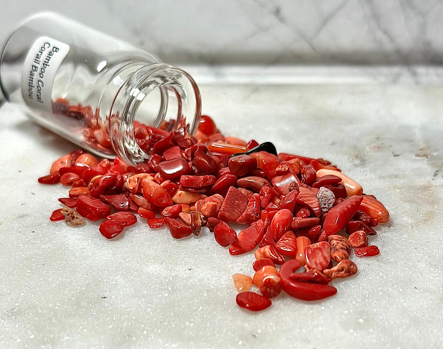 Bamboo Coral Necklace/ Potion Bottle